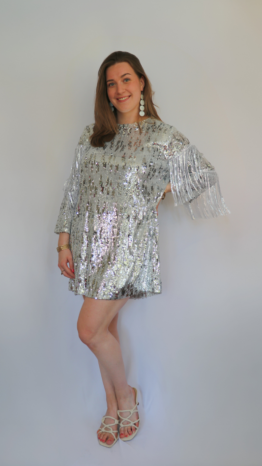 ZARA silver glitter dress